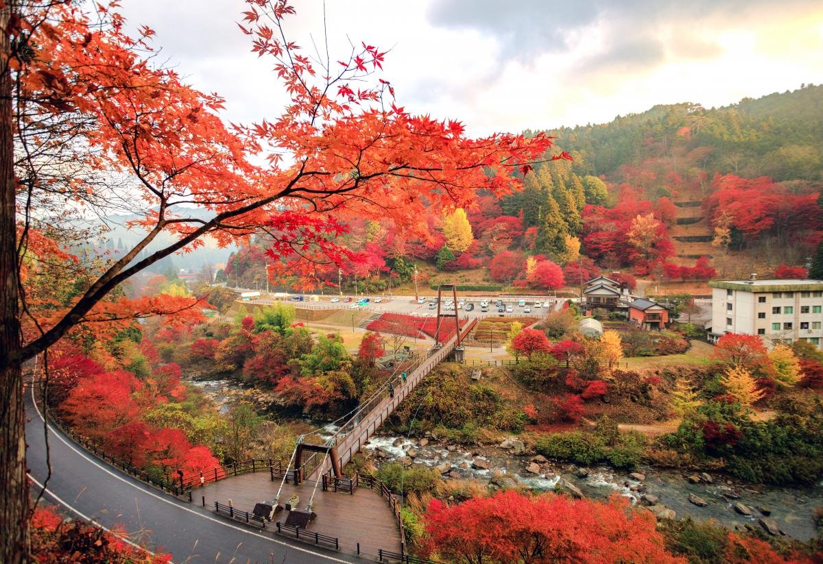 🏞️ 오이다이라 공원(오이다이라 코엔) 이미지 9